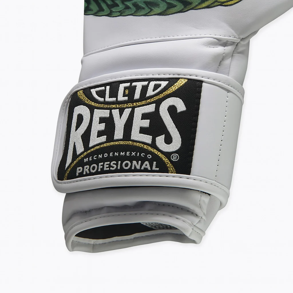 Boxing gloves Cleto Reyes Fiber Quetzalcoatl Prison Art - Image 3