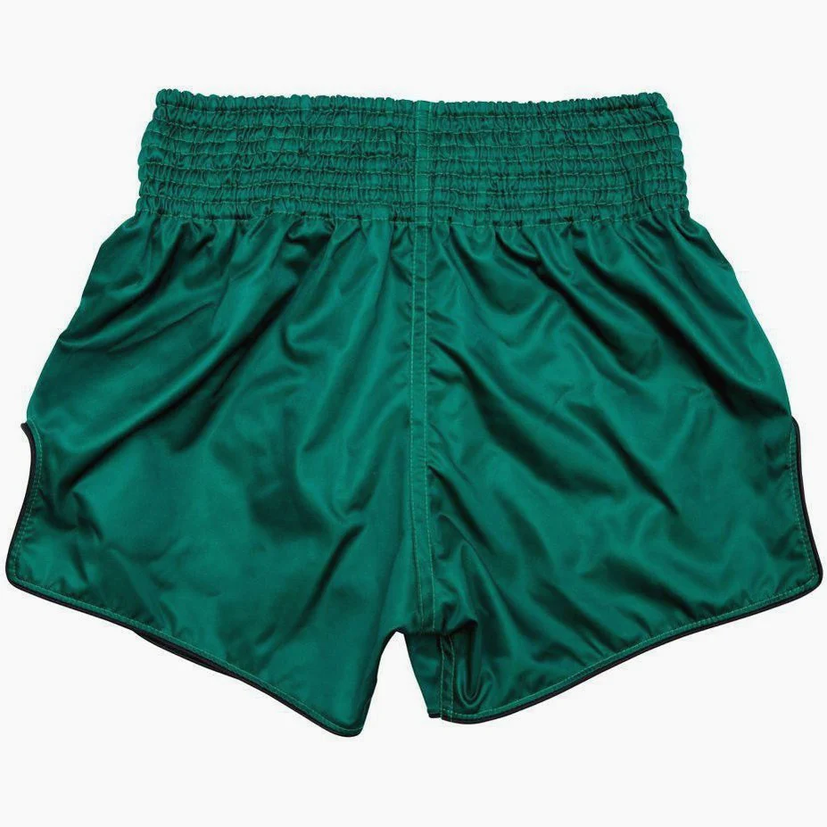 Kick-thai shorts Fairtex BS1913 Tiger  - Image 4