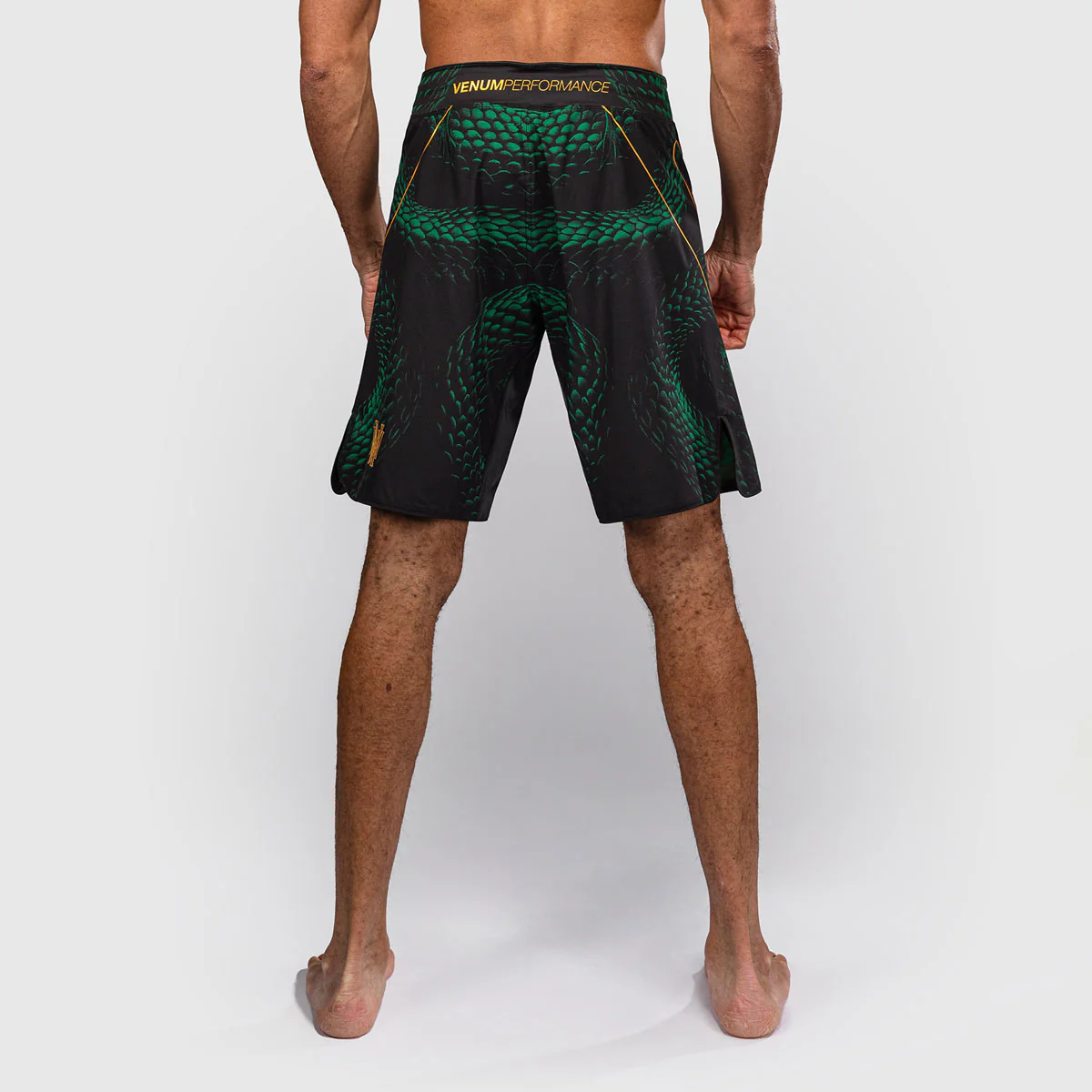 MMA shorts Venum Matupa Black-green - Image 3