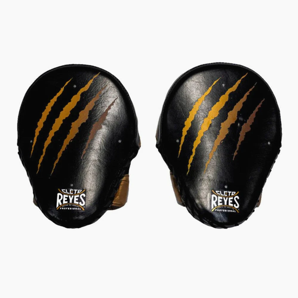 Punch mitts Cleto Reyes Tiger - Image 4