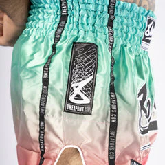 Kick-thai shorts 8 Weapons Vivo  - Image 4