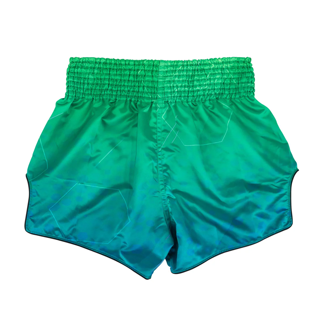 Shorts kick-thai Fairtex BS1953 Quantum  - Image 2