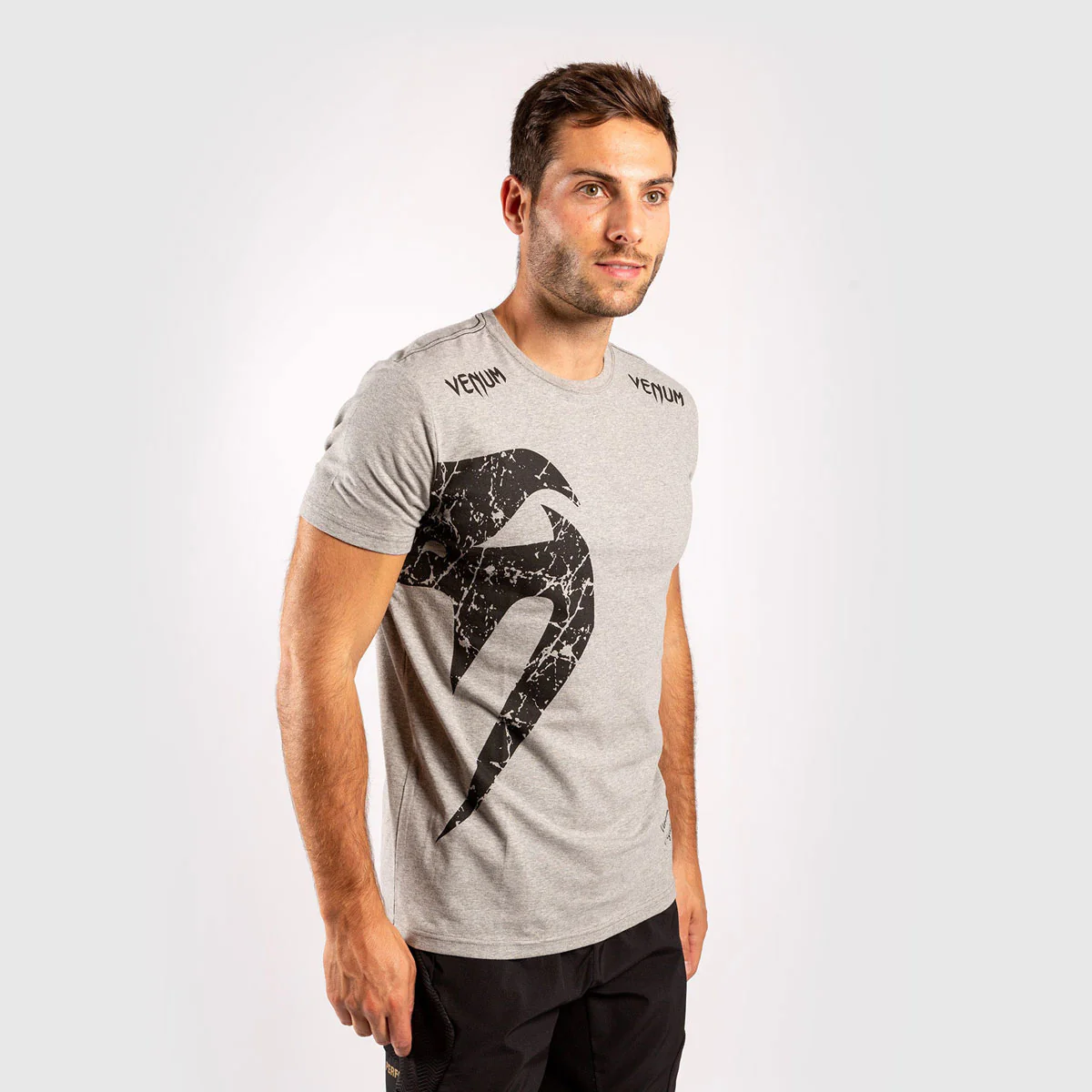 T-shirt in Cotton Venum Giant Gray-Black  - Image 5