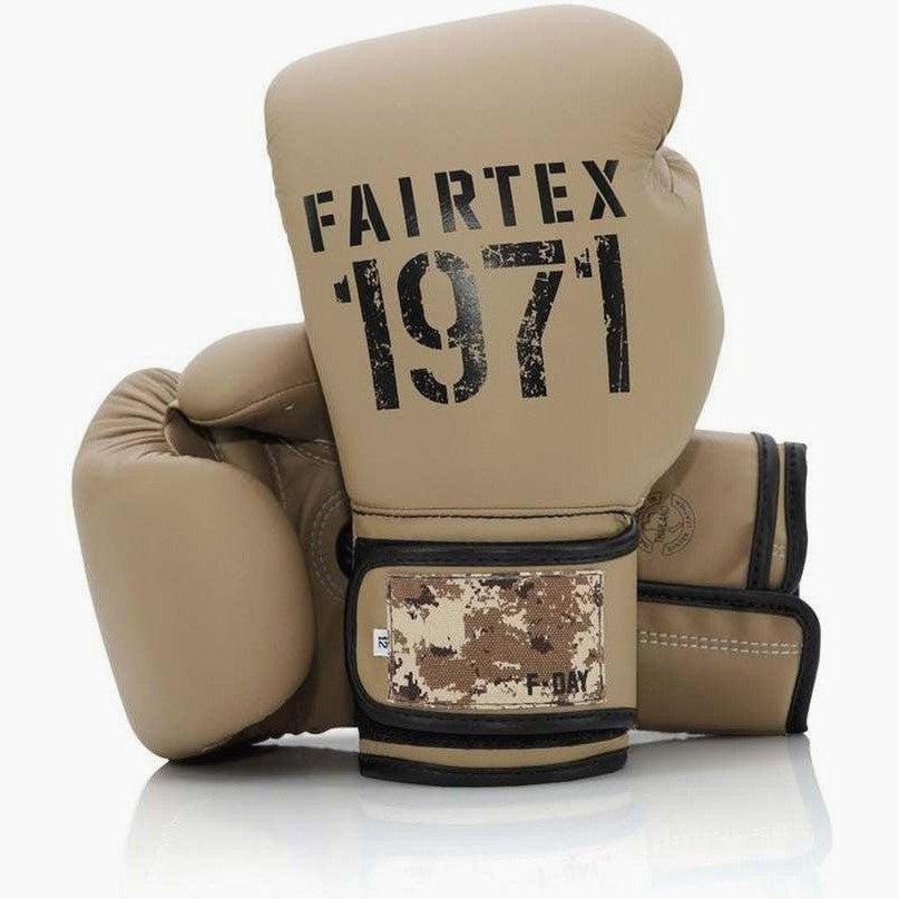 Thai boxing gloves Fairtex BGV25 F-Day2 